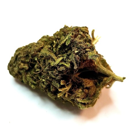 Fleur CBG :  Jack herer - Fleur CBG